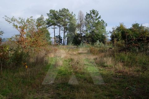 Terra em Sever do Vouga, Aveiro, Sever do Vouga - € 212.300 | Ref: 22061/17GL - foto 4