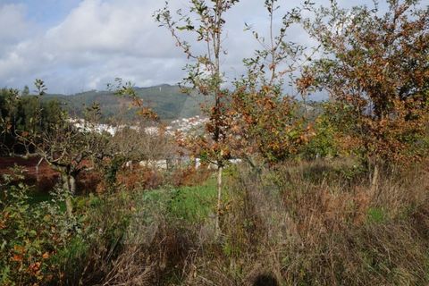 Terra em Sever do Vouga, Aveiro, Sever do Vouga - € 212.300 | Ref: 22061/17GL - foto 8