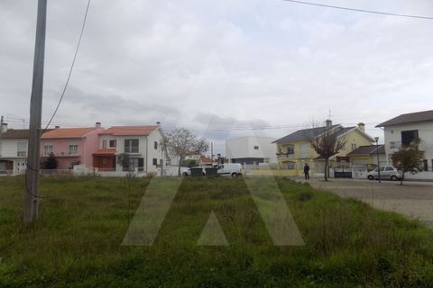 Helårsgrund i Eixo e Eirol, Aveiro, Eixo e Eirol - € 60.000 | Ref: 18825/15 GL - foto 2