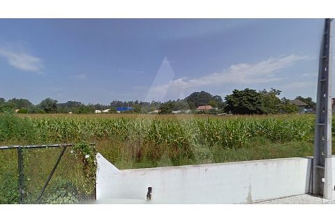 Terreno en Alquerubim, Aveiro, Alquerubim - € 55.000 | Ref: 16675/14 GL - photo 1