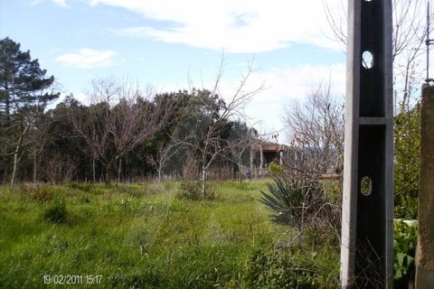 Helårsgrund i Aguada de Cima, Aveiro, Aguada de Cima - € 63.000 | Ref: 11504/11 GL - foto 1