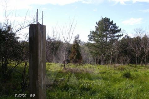 Helårsgrund i Aguada de Cima, Aveiro, Aguada de Cima - € 63.000 | Ref: 11504/11 GL - foto 2