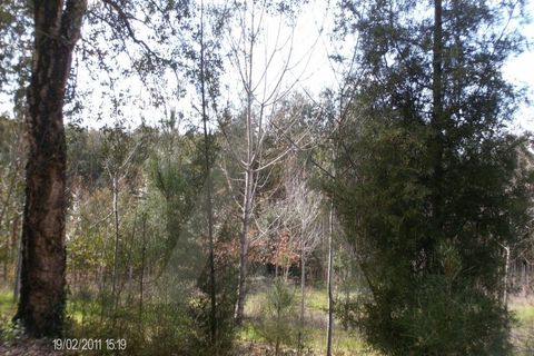 Helårsgrund i Aguada de Cima, Aveiro, Aguada de Cima - € 63.000 | Ref: 11504/11 GL - foto 3