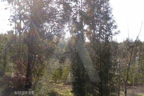 Helårsgrund i Aguada de Cima, Aveiro, Aguada de Cima - € 63.000 | Ref: 11504/11 GL - foto 4