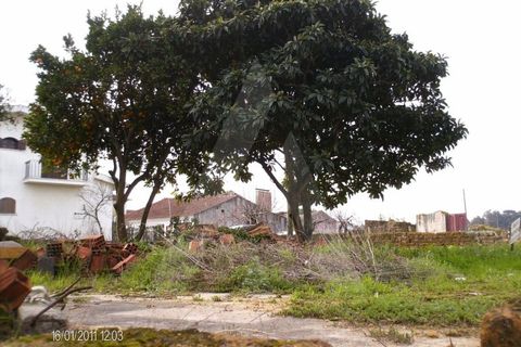 Helårsgrund i Oliveira do Bairro, Aveiro, Oliveira do Bairro - € 31.500 | Ref: 11266/11 GL - foto 2