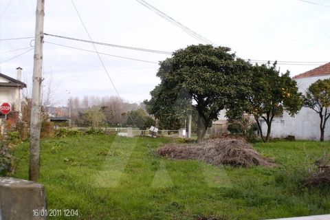 Helårsgrund i Oliveira do Bairro, Aveiro, Oliveira do Bairro - € 31.500 | Ref: 11266/11 GL - foto 3