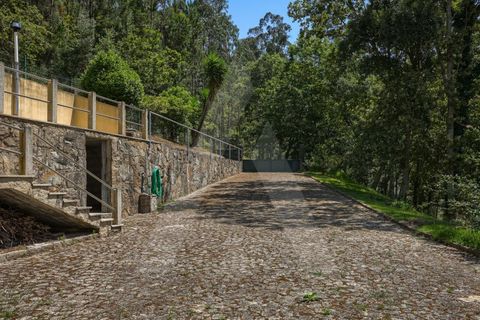Gård i Sever do Vouga, Aveiro, Sever do Vouga - € 495 000 | Ref: 1012322/25 GL - foto 49