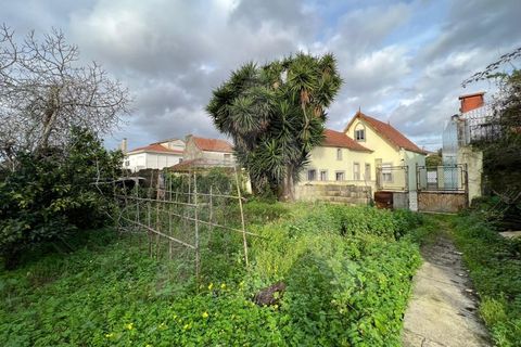 Villa i Ilhavo, Aveiro, Ilhavo - € 250.000 | Ref: 1011646/22 GL - foto 16