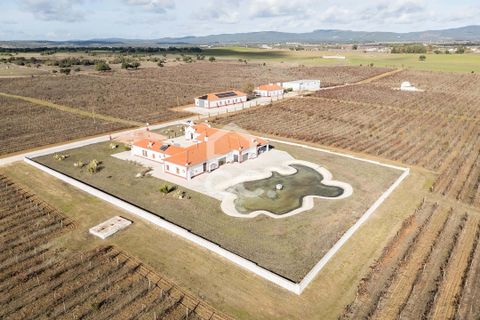 Farm hus i Redondo, Evora, Redondo - € 4.850.000 | Ref: 318/Q/03739 - foto 5