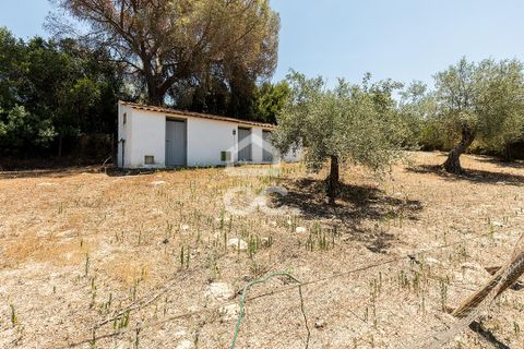 Gårdshus i Mora, Evora, Mora - € 575 000 | Ref: 318/Q/03851 - foto 38