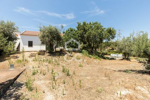 Gårdshus i Mora, Evora, Mora - € 575 000 | Ref: 318/Q/03851 - foto 46