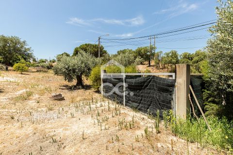 Gårdshus i Mora, Evora, Mora - € 575 000 | Ref: 318/Q/03851 - foto 49