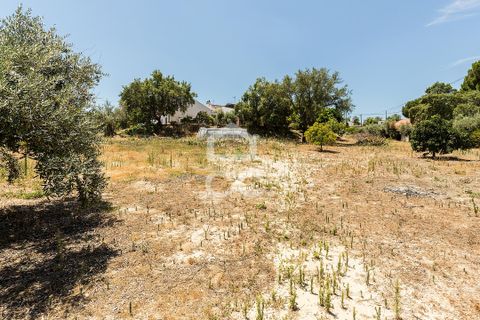 Gårdshus i Mora, Evora, Mora - € 575 000 | Ref: 318/Q/03851 - foto 50