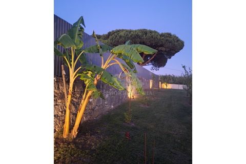 Villa i Sintra, Lisbon, Sintra - € 1.445.000 | Ref: M734 - foto 5