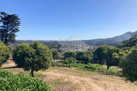 Villa a Almocageme, Lisbon, Almocageme - € 2.950/mes | Ref: Al777 - foto 4