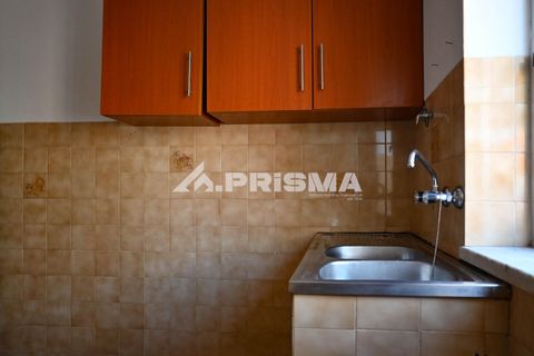 Apartament a Castelo Branco, Castelo Branco, Castelo Branco - € 325/mes | Ref: PP4742 - foto 6