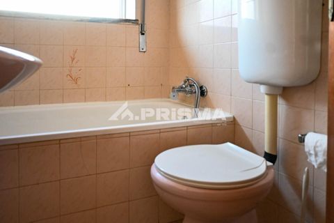 Apartament a Castelo Branco, Castelo Branco, Castelo Branco - € 325/mes | Ref: PP4742 - foto 11