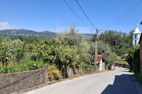 Villa i Tondela, Viseu, Tondela - € 45.000 | Ref: 345511 - foto 6
