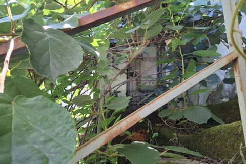 Villa i Tondela, Viseu, Tondela - € 45.000 | Ref: 345511 - foto 18