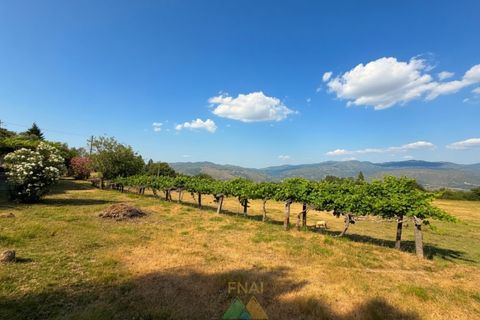 Villa i Arcos de Valdevez, Viana do Castelo, Arcos de Valdevez - € 85.000 | Ref: AVV-021-050 - foto 2