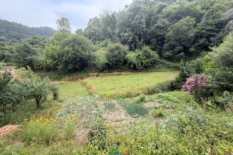 Villa i Arcos de Valdevez, Viana do Castelo, Arcos de Valdevez - € 85.000 | Ref: AVV-021-050 - foto 4