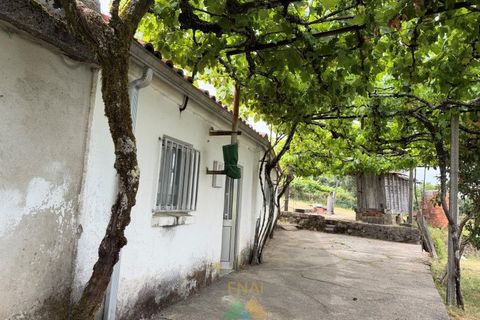 Villa i Arcos de Valdevez, Viana do Castelo, Arcos de Valdevez - € 85.000 | Ref: AVV-021-050 - foto 11