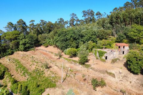 Villa em Barcelos, Braga, Barcelos - € 200.000 | Ref: AVV-012-025 - foto 1