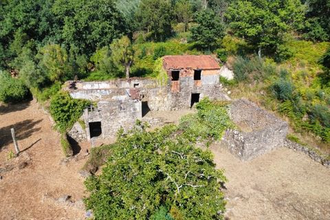 Villa em Barcelos, Braga, Barcelos - € 200.000 | Ref: AVV-012-025 - foto 7