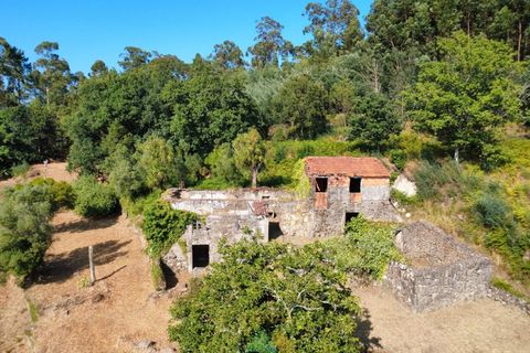 Villa em Barcelos, Braga, Barcelos - € 200.000 | Ref: AVV-012-025 - foto 13