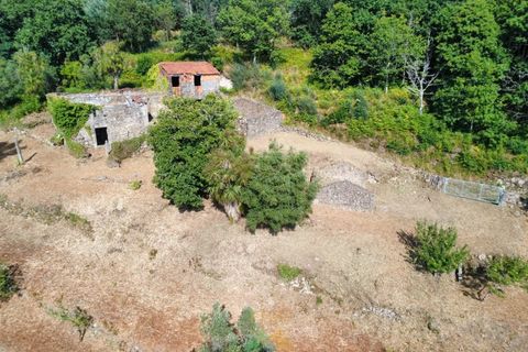 Villa em Barcelos, Braga, Barcelos - € 200.000 | Ref: AVV-012-025 - foto 14