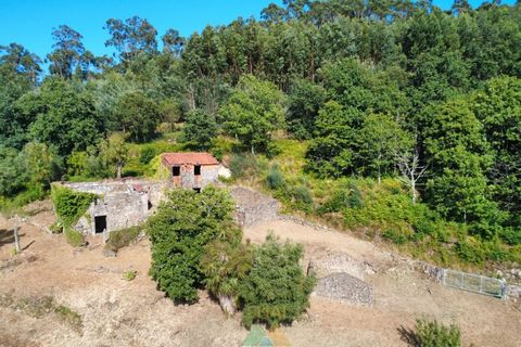 Villa em Barcelos, Braga, Barcelos - € 200.000 | Ref: AVV-012-025 - foto 17