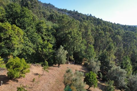 Villa em Barcelos, Braga, Barcelos - € 200.000 | Ref: AVV-012-025 - foto 19