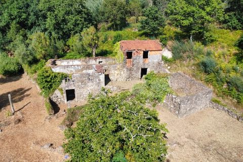 Villa em Barcelos, Braga, Barcelos - € 200.000 | Ref: AVV-012-025 - foto 20
