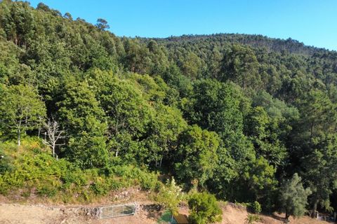 Villa em Barcelos, Braga, Barcelos - € 200.000 | Ref: AVV-012-025 - foto 25