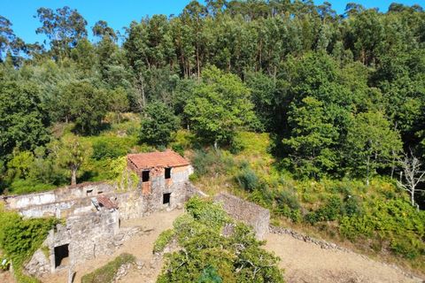Villa em Barcelos, Braga, Barcelos - € 200.000 | Ref: AVV-012-025 - foto 26