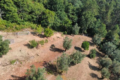 Villa em Barcelos, Braga, Barcelos - € 200.000 | Ref: AVV-012-025 - foto 28