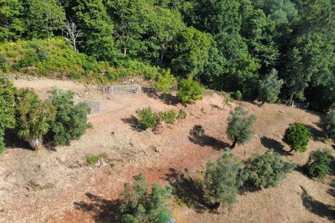 Villa em Barcelos, Braga, Barcelos - € 200.000 | Ref: AVV-012-025 - foto 30