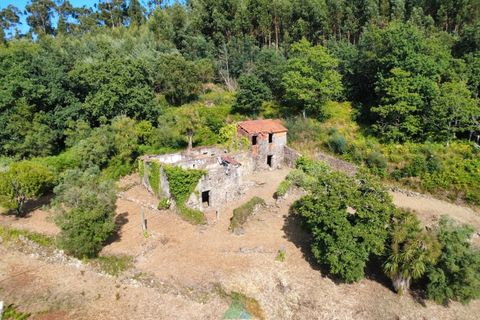 Villa em Barcelos, Braga, Barcelos - € 200.000 | Ref: AVV-012-025 - foto 31