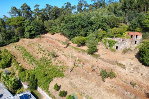 Villa em Barcelos, Braga, Barcelos - € 200.000 | Ref: AVV-012-025 - foto 32