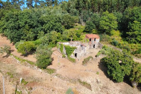 Villa em Barcelos, Braga, Barcelos - € 200.000 | Ref: AVV-012-025 - foto 34