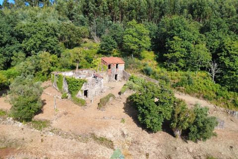 Villa em Barcelos, Braga, Barcelos - € 200.000 | Ref: AVV-012-025 - foto 36