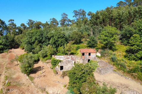 Villa em Barcelos, Braga, Barcelos - € 200.000 | Ref: AVV-012-025 - foto 37