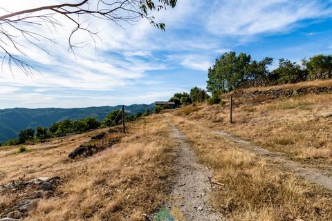 Villa i Cabeceiras de Basto, Braga, Cabeceiras de Basto - € 825.000 | Ref: AVV-021-049 - foto 8