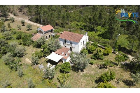 Farm i Serta, Castelo Branco, Serta - € 140.000 | Ref: RF88 - foto 1