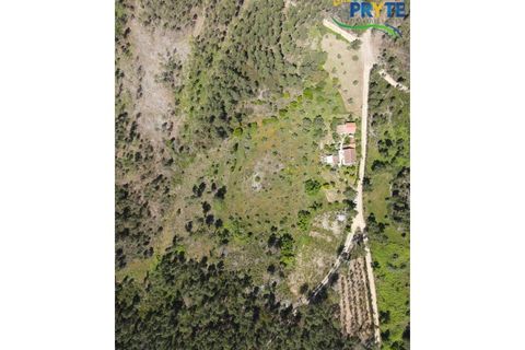 Farm i Serta, Castelo Branco, Serta - € 140.000 | Ref: RF88 - foto 2