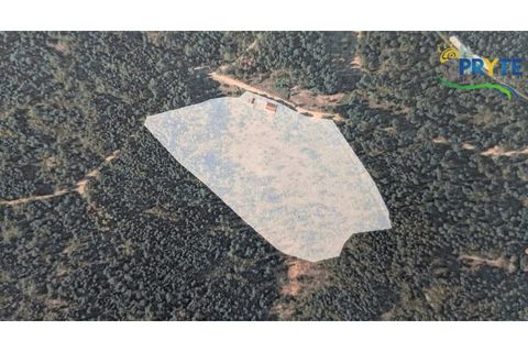 Farm i Serta, Castelo Branco, Serta - € 140.000 | Ref: RF88 - foto 3
