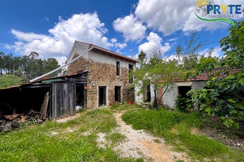 Farm i Serta, Castelo Branco, Serta - € 140.000 | Ref: RF88 - foto 4