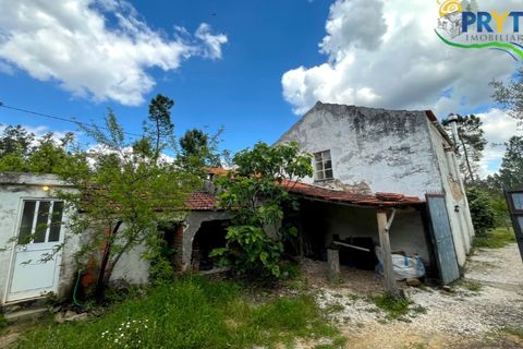Farm i Serta, Castelo Branco, Serta - € 140.000 | Ref: RF88 - foto 5