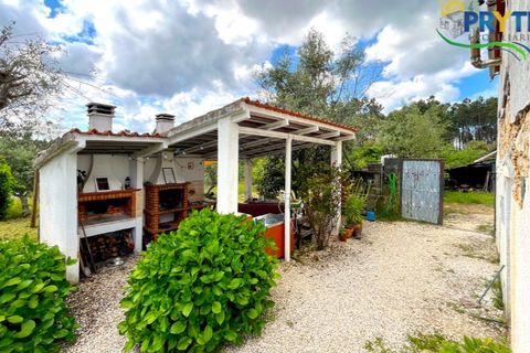 Farm i Serta, Castelo Branco, Serta - € 140.000 | Ref: RF88 - foto 6