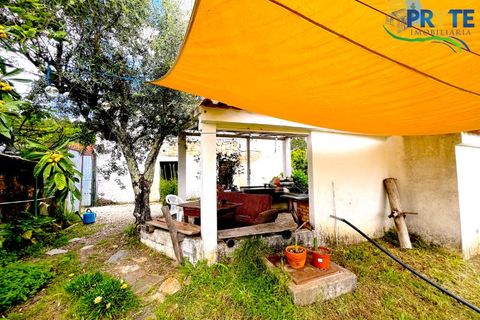 Farm i Serta, Castelo Branco, Serta - € 140.000 | Ref: RF88 - foto 8
